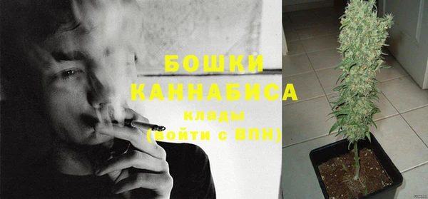 соль ск Липки